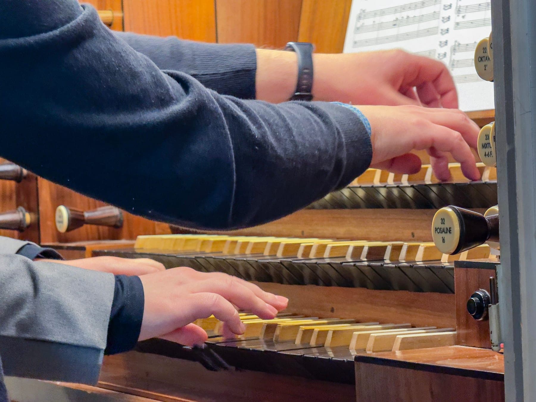 Orgel in St. Stephan